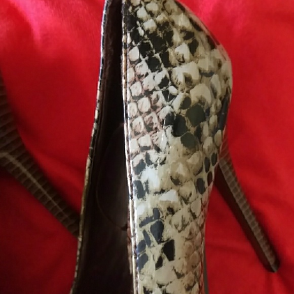 Dots snakeskin heels - Picture 6 of 8